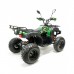 Электроквадроцикл GreenCamel Сахара A3052 Электроквадроцикл GreenCamel Сахара A3052