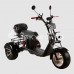 Электроскутер CityCoco SkyBoard Marusya Trike BR60-3000 PRO FAST