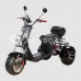 Электроскутер CityCoco SkyBoard Marusya Trike BR60-3000 PRO FAST