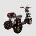 Электроскутер CityCoco SkyBoard Marusya Trike BR60-3000 PRO FAST