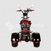 Электроскутер CityCoco SkyBoard Marusya Trike BR60-3000 PRO FAST