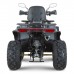 Квадроцикл Dazzle ATV200 Комплектация 2 Квадроцикл Dazzle ATV200 Комплектация 2