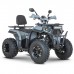 Квадроцикл Dazzle ATV200 Комплектация 2 Квадроцикл Dazzle ATV200 Комплектация 2