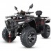 Квадроцикл MOTAX Grizlik 300 cc Квадроцикл MOTAX Grizlik 300 cc