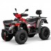 Электроквадроцикл GreenCamel Linhai LH80DA 4x4 Электроквадроцикл GreenCamel Linhai LH80DA 4x4