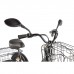 Трёхколёсный электровелосипед Eltreco GREEN CITY e-ALFA Trike Трёхколёсный электровелосипед Eltreco GREEN CITY e-ALFA Trike