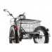Трёхколёсный электровелосипед Eltreco GREEN CITY e-ALFA Trike Трёхколёсный электровелосипед Eltreco GREEN CITY e-ALFA Trike