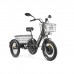 Трёхколёсный электровелосипед Eltreco GREEN CITY e-ALFA Trike Трёхколёсный электровелосипед Eltreco GREEN CITY e-ALFA Trike
