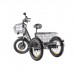 Трёхколёсный электровелосипед Eltreco GREEN CITY e-ALFA Trike Трёхколёсный электровелосипед Eltreco GREEN CITY e-ALFA Trike
