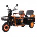 Электротрицикл Kugoo T3