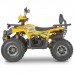 Квадроцикл Dazzle ATV125 Комплектация 2 Квадроцикл Dazzle ATV125 Комплектация 2
