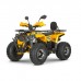 Квадроцикл Dazzle ATV125 Комплектация 2 Квадроцикл Dazzle ATV125 Комплектация 2