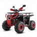 Бензиновый квадроцикл WHITE SIBERIA BARS L 200 Бензиновый квадроцикл WHITE SIBERIA BARS L 200