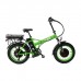 Электровелосипед Elbike Taiga 2 Twix 2000 Электровелосипед Elbike Taiga 2 Twix 2000